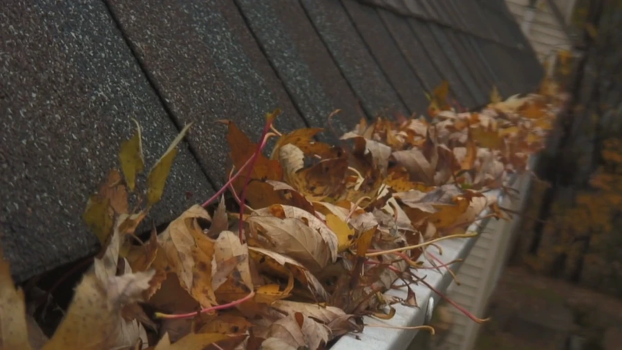 Gutter overflowing with fall leaves on a shingle roof, the kind of overflow that calls for emergency gutter cleaning in Roseville