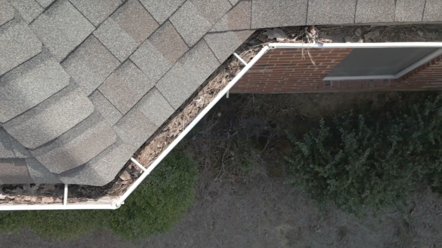 Aerial view of a shingle roofline with gutters packed with dry leaves, the kind of job local gutter cleaning handles in every Roseville ZIP