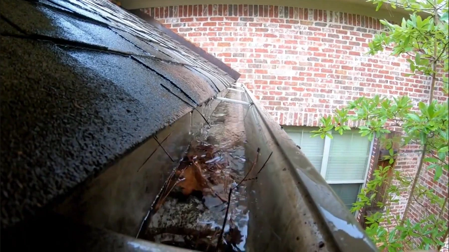 Downspout cleaning in Roseville clears backups like this: a clogged gutter with standing water, wet leaves and twigs