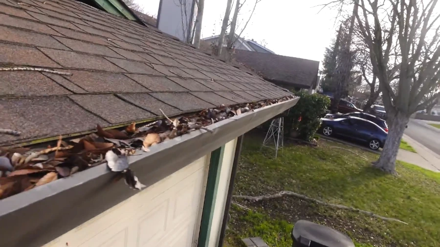 Clogged gutter full of dry leaves on a single-story home, before gutter cleaning in Roseville, CA