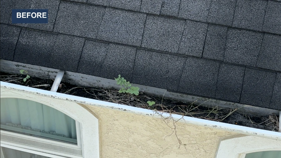 Gutter clogged with dirt, dead grass and weeds above stucco wall and arched windows, before gutter cleaning